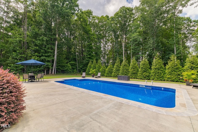 4135 Somerset Dr, Oxford, NC 27565 - swimming pool featuring a patio