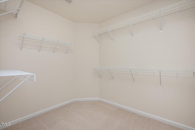 2021 Patapsco Dr, Apex, NC 27523 - walk in closet featuring carpet floors