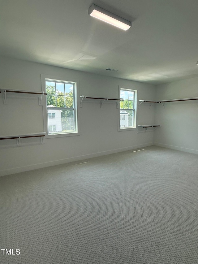 3731 Lebrun Path Unit 150Gunnison Cl, Fuquay Varina, NC 27526 - walk in closet with carpet floors