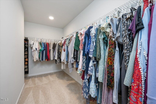 1119 Latitude Dr, Durham, NC 27713 - walk in closet featuring carpet