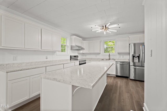 919 College Cir N, Wilson, NC 27893 - kitchen with stainless steel appliances, under cabinet range hood, healthy amount of natural light, and white cabinets