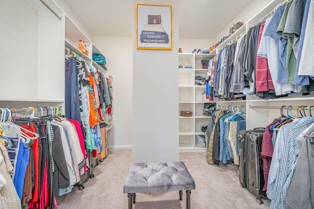 3922 Cross Timber Ln, Raleigh, NC 27603 - spacious closet featuring carpet