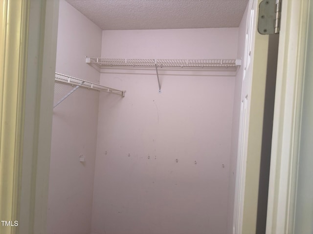 165 Cambridge Elm Dr, Clayton, NC 27520 - view of closet