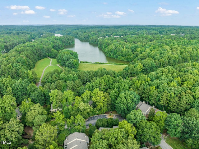 403 Broad Leaf Cir, Raleigh, NC 27613 - photo 29