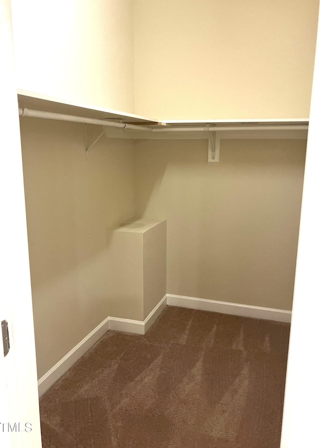 619 Rudy Dr, Clayton, NC 27520 - spacious closet featuring dark carpet