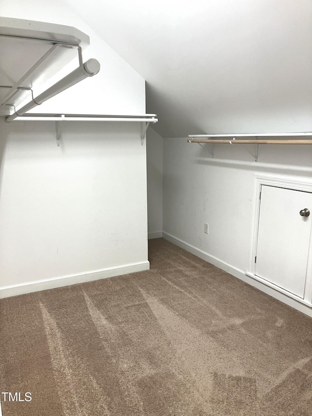619 Rudy Dr, Clayton, NC 27520 - walk in closet featuring carpet floors