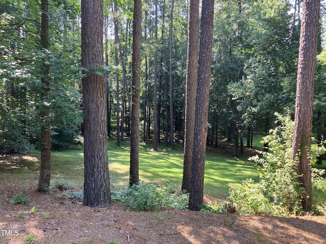619 Rudy Dr, Clayton, NC 27520 - view of green lawn featuring a forest view