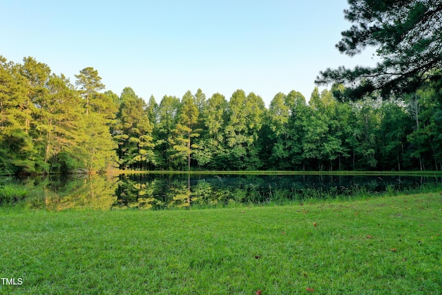 38.2ACRES Wiggins Rd, Angier, NC 27501