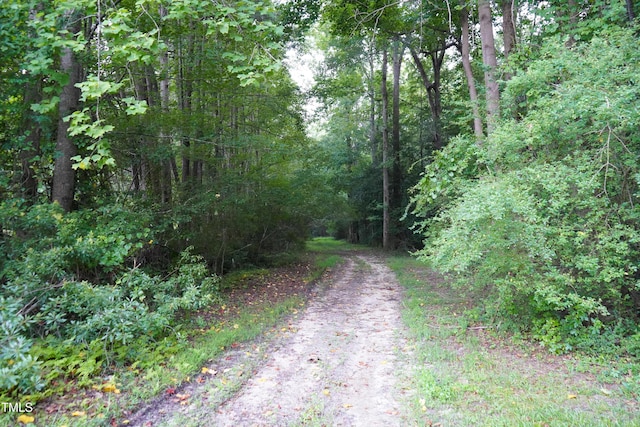 38.2ACRES Wiggins Rd, Angier, NC 27501