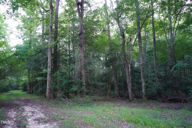 38.2ACRES Wiggins Rd, Angier, NC 27501