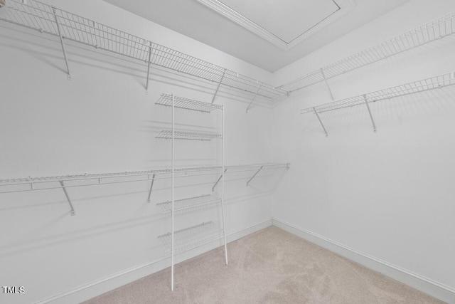 203 Bluefield Rd, Chapel Hill, NC 27517 - spacious closet with carpet flooring