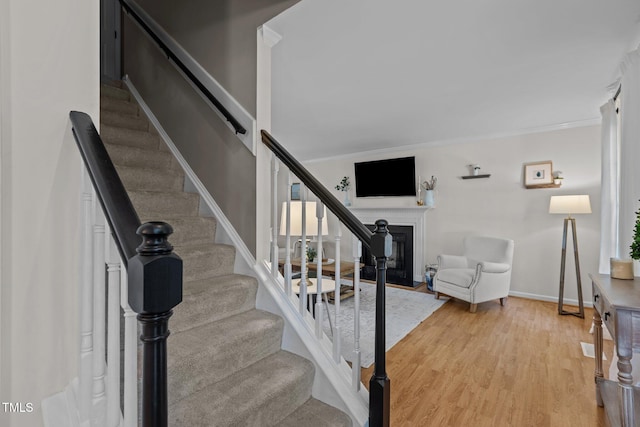 203 Tapestry Ter, Cary, NC 27511 - photo 3