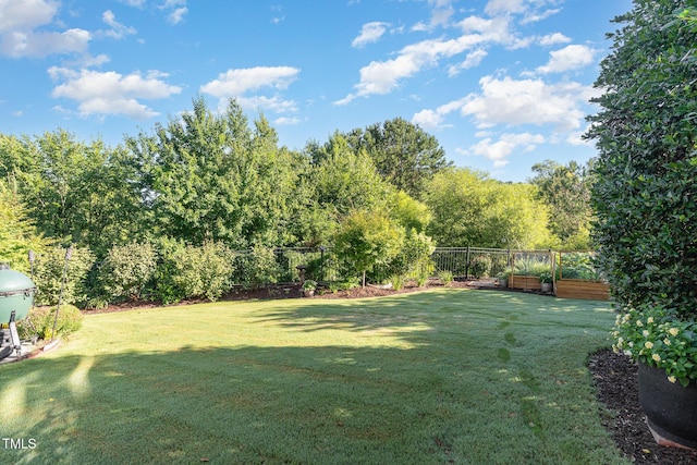 1501 Heritage Reserve Ct, Wake Forest, NC 27587 - view of yard