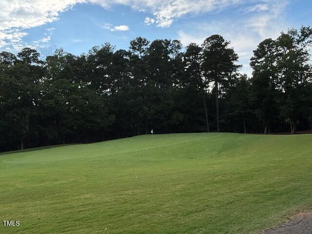 10733 Round Brook Cir, Raleigh, NC 27617 - view of home's community with view of golf course and a lawn