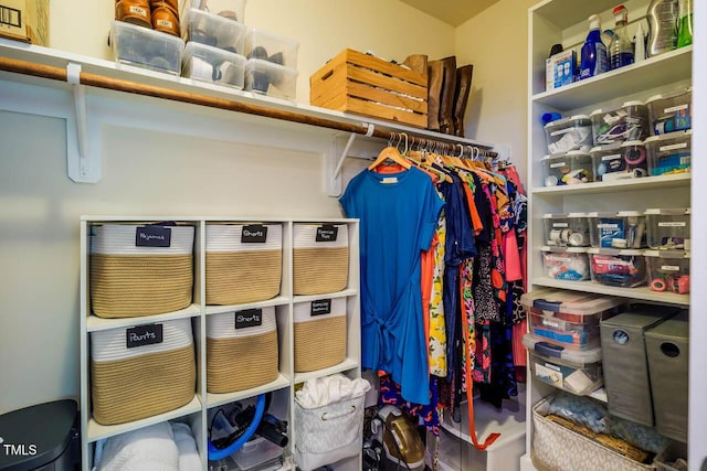 438 Granite Mill Blvd, Chapel Hill, NC 27516 - view of walk in closet