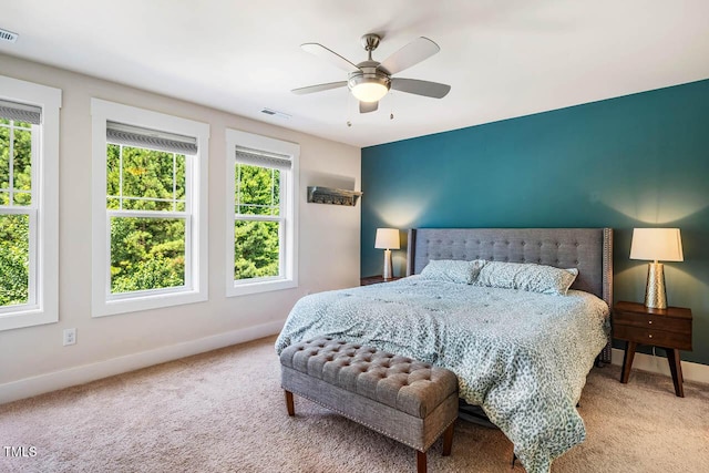 438 Granite Mill Blvd, Chapel Hill, NC 27516 - bedroom with multiple windows, carpet floors, and ceiling fan