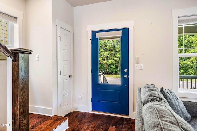 438 Granite Mill Blvd, Chapel Hill, NC 27516 - foyer featuring healthy amount of natural light and dark wood finished floors