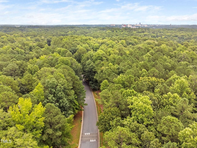 4316 American Dr, Durham, NC 27705 - bird's eye view of a forest