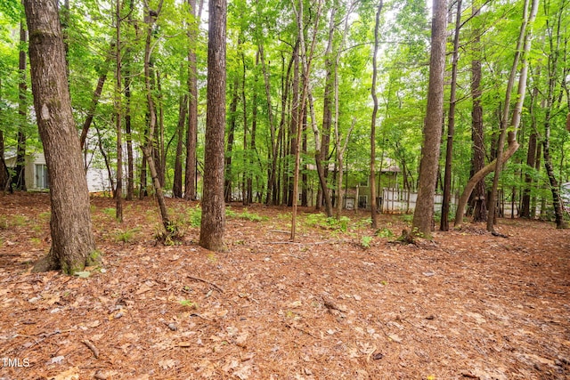 4316 American Dr, Durham, NC 27705 - view of local wilderness