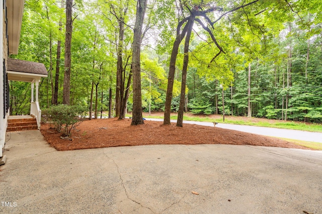 4316 American Dr, Durham, NC 27705 - view of yard featuring a forest view