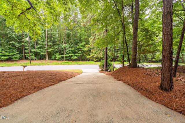 4316 American Dr, Durham, NC 27705 - view of home's community with a forest view