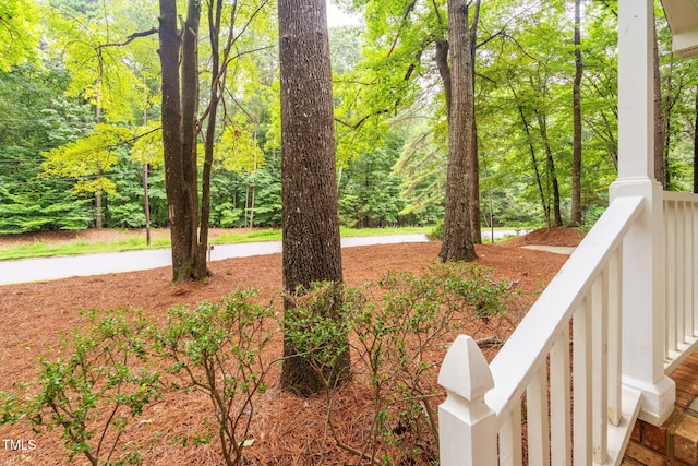 4316 American Dr, Durham, NC 27705 - view of yard