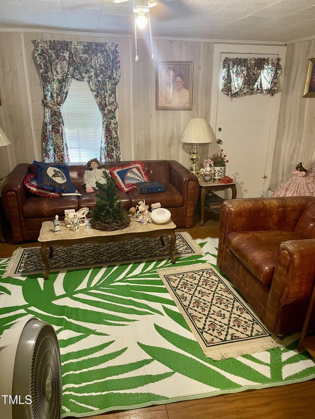 930 Rand St, Smithfield, NC 27577 - living room featuring wood walls, plenty of natural light, and wood finished floors