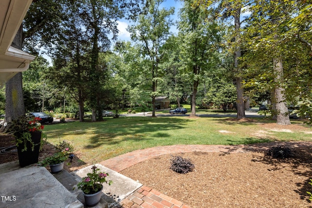 108 Putnam Ln, Durham, NC 27713 - photo 29