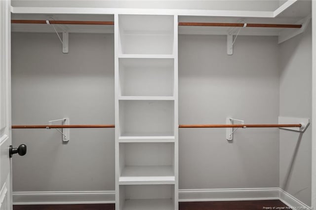 57 Spring Water Ct, Spring Lake, NC 28390 - view of walk in closet