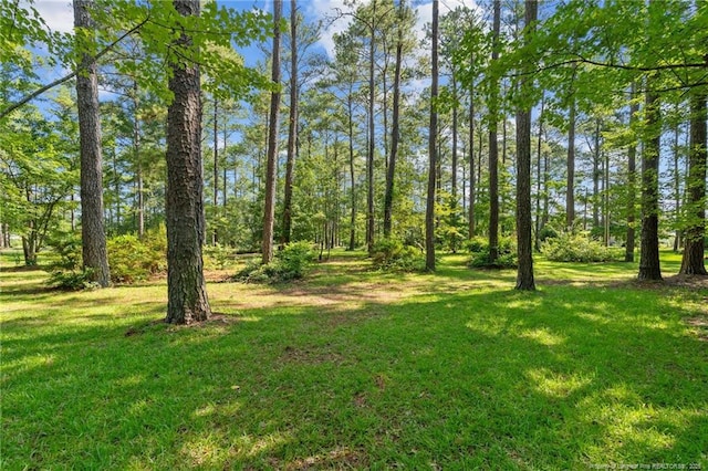 5945 Muscat Rd, Hope Mills, NC 28348 - view of green lawn