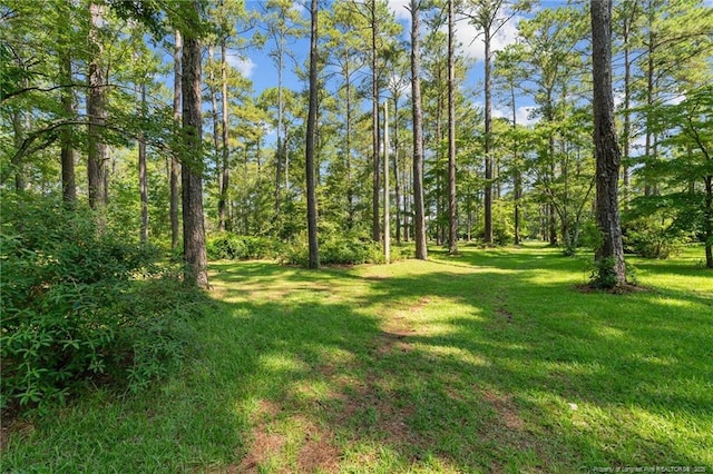 5945 Muscat Rd, Hope Mills, NC 28348 - view of green lawn featuring a wooded view