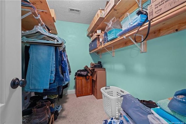 1438 Division Pl, Fayetteville, NC 28312 - walk in closet featuring carpet floors