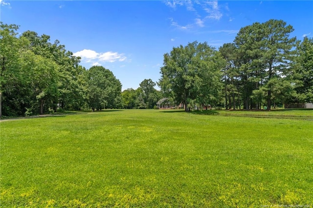 1438 Division Pl, Fayetteville, NC 28312 - view of green lawn