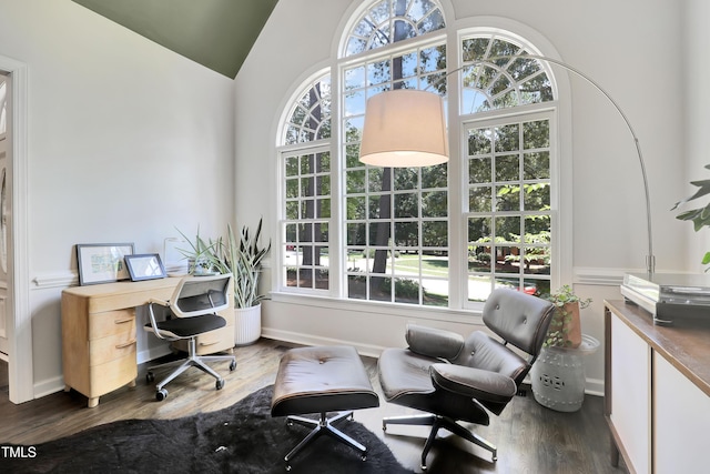 5004 Sunset Forest Cir, Holly Springs, NC 27540 - office featuring wood finished floors and vaulted ceiling