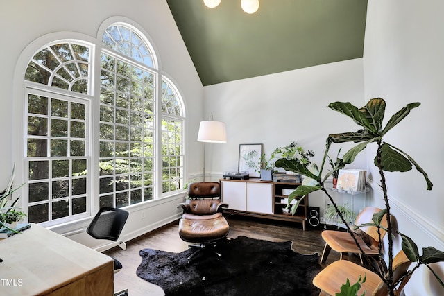 5004 Sunset Forest Cir, Holly Springs, NC 27540 - sitting room featuring healthy amount of natural light, wood finished floors, a desk, and high vaulted ceiling