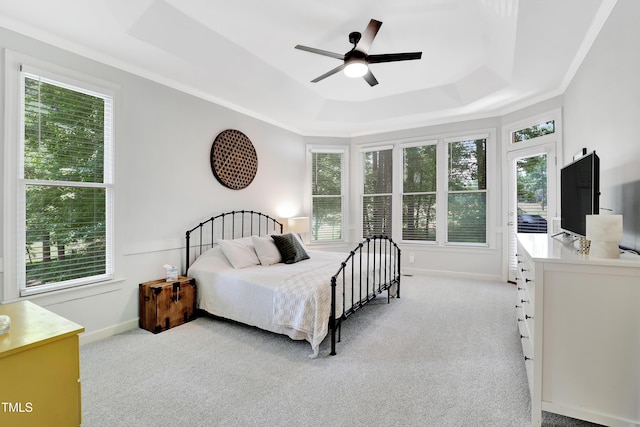5004 Sunset Forest Cir, Holly Springs, NC 27540 - bedroom with a tray ceiling, multiple windows, and light colored carpet