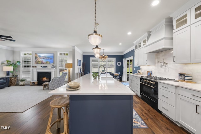 210 Meadow Lake Dr, Youngsville, NC 27596 - kitchen with open floor plan, double oven range, a lit fireplace, ornamental molding, and decorative backsplash