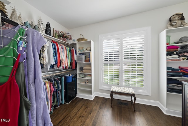 210 Meadow Lake Dr, Youngsville, NC 27596 - walk in closet with wood finished floors