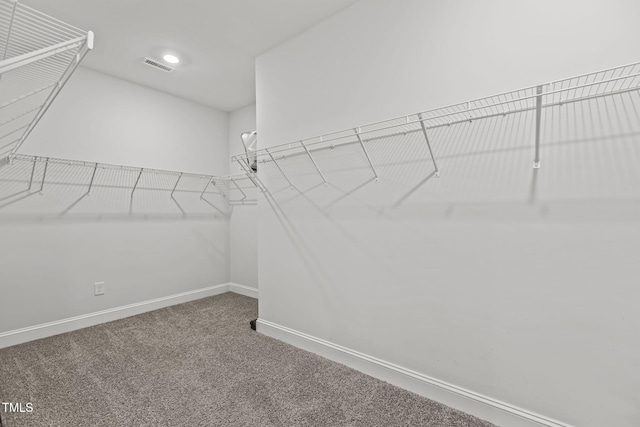 113 Canary Ct, Raleigh, NC 27610 - spacious closet featuring carpet floors