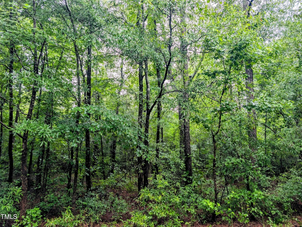 7877 Lucinda Ln, Linden, NC 28356 - photo 1