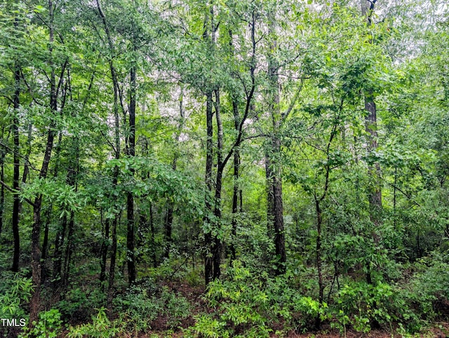 7877 Lucinda Ln, Linden, NC 28356
