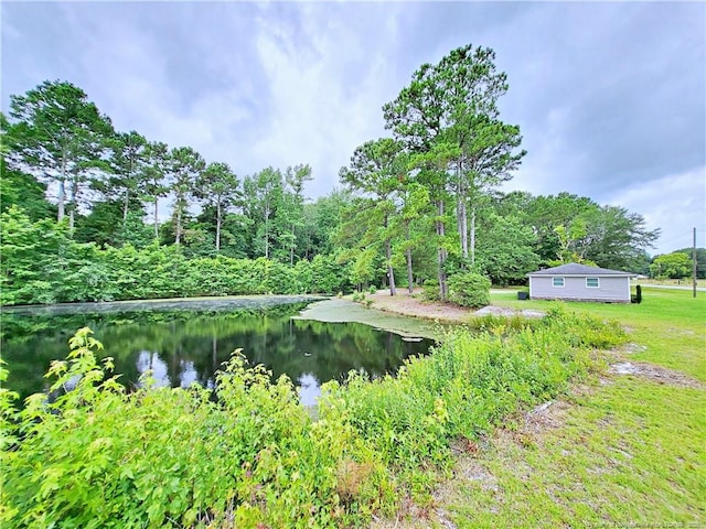 7246 Faircloth Bridge Rd, Stedman, NC 28391 - view of yard with a water view and a view of trees