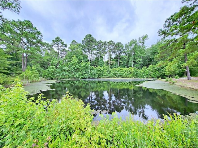 7246 Faircloth Bridge Rd, Stedman, NC 28391 - water view with a heavily wooded area