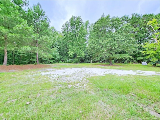 7246 Faircloth Bridge Rd, Stedman, NC 28391 - view of grassy yard featuring a forest view