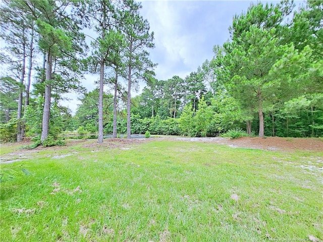 7246 Faircloth Bridge Rd, Stedman, NC 28391 - view of green lawn featuring a view of trees