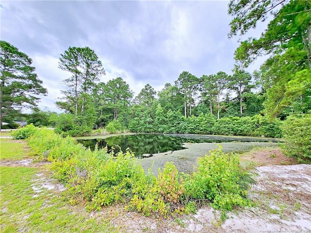 7246 Faircloth Bridge Rd, Stedman, NC 28391 - view of yard