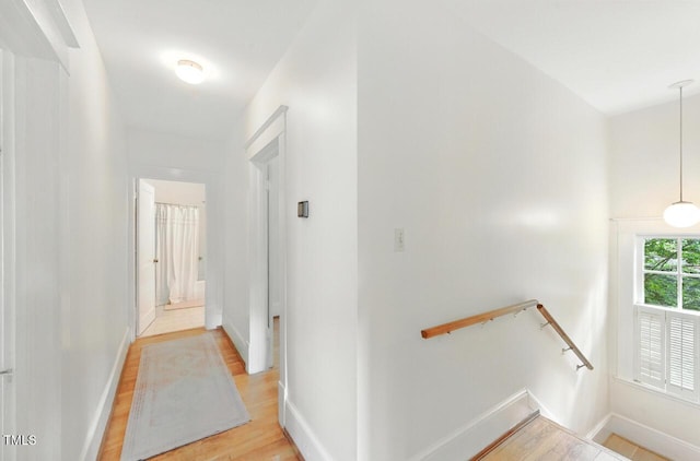 301 W Park Dr, Raleigh, NC 27605 - photo 19