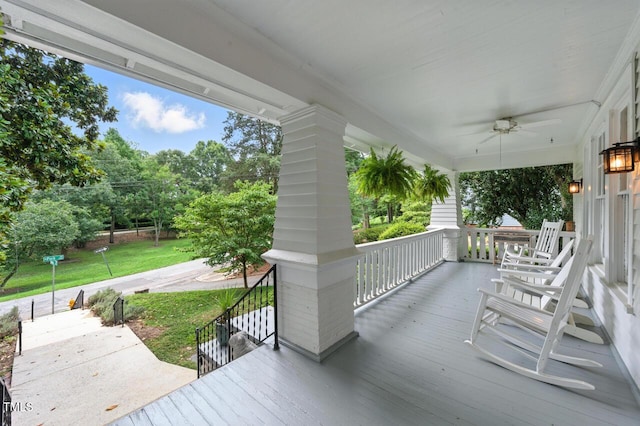 301 W Park Dr, Raleigh, NC 27605 - photo 4
