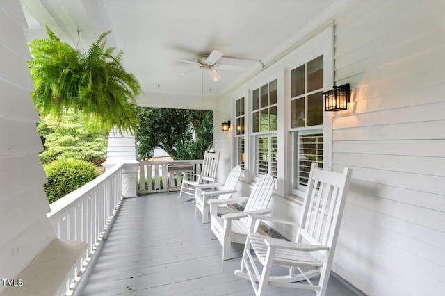 301 W Park Dr, Raleigh, NC 27605 - photo 5