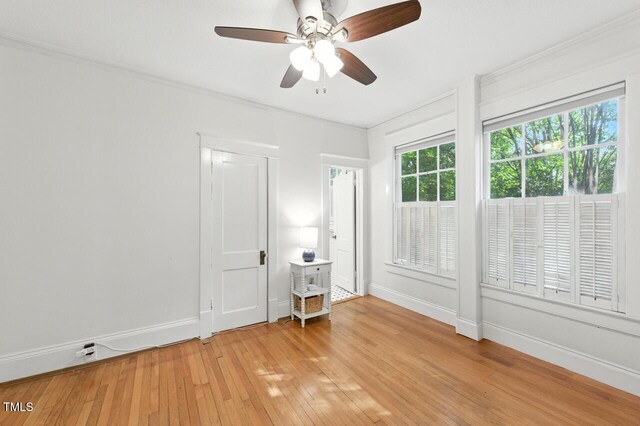 301 W Park Dr, Raleigh, NC 27605 - photo 16